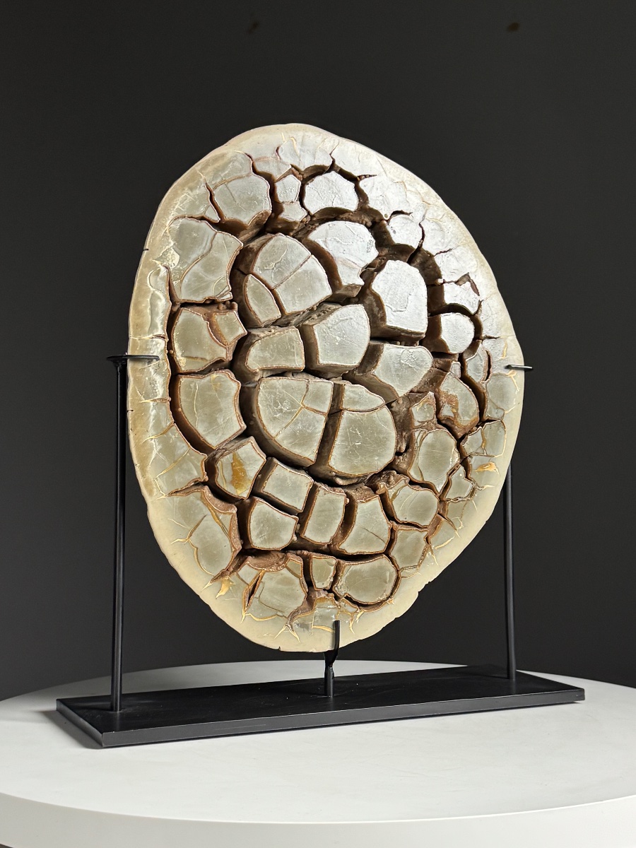 Septarian Nodule On A Custom-made Base-photo-2