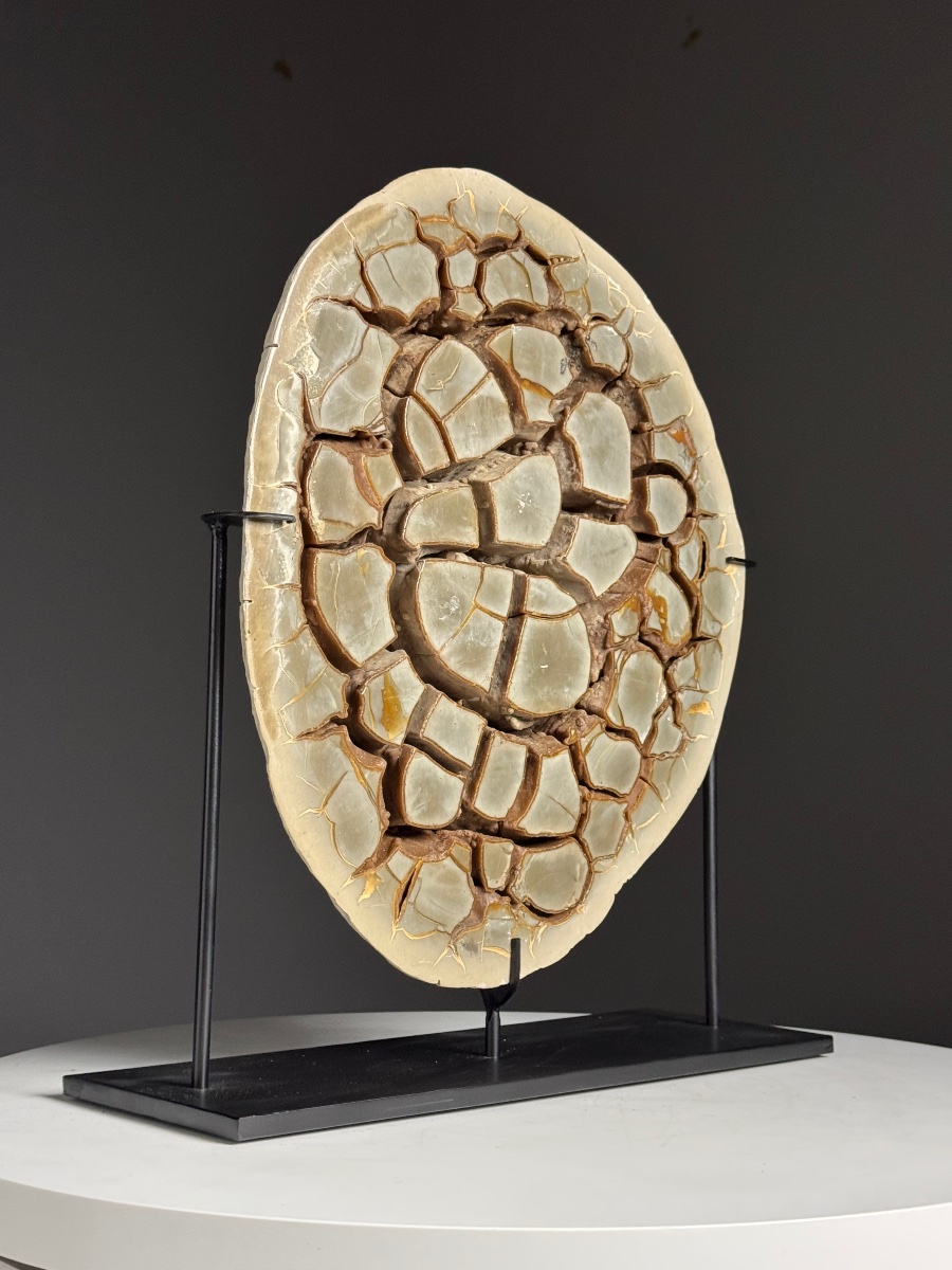 Septarian Nodule On A Custom-made Base