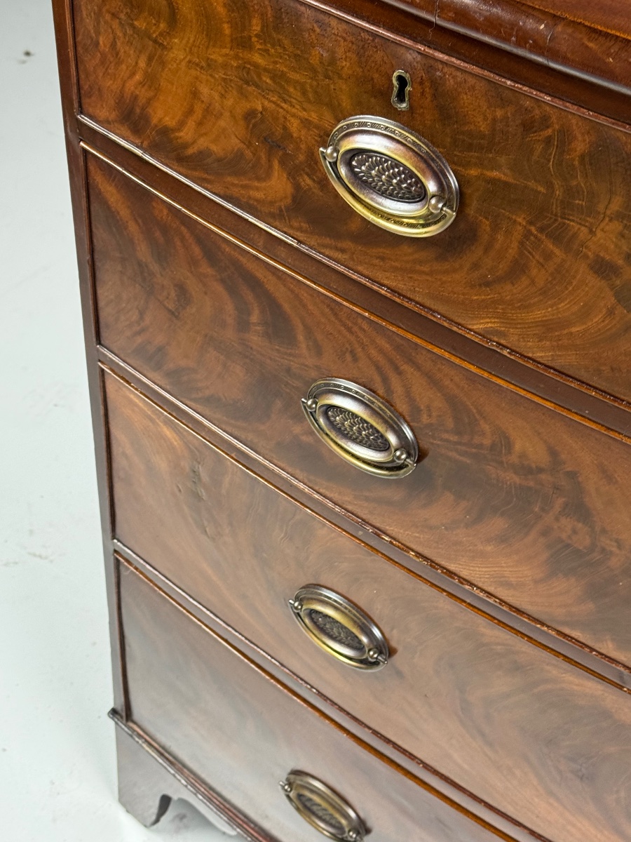 Mahogany Chest Of Drawers With A Curved Front -photo-2