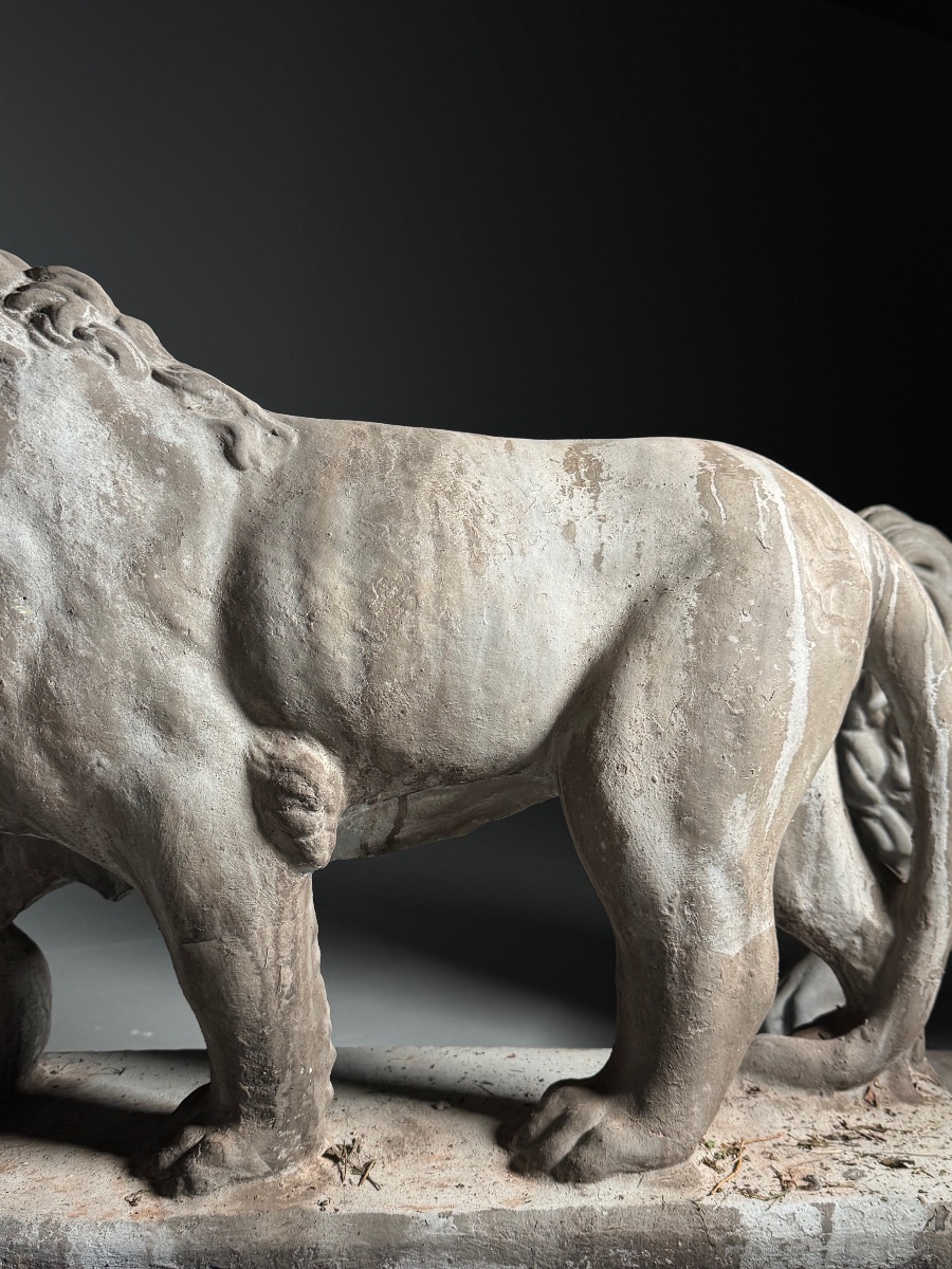 Lions de Médicis en pierre composite-photo-4