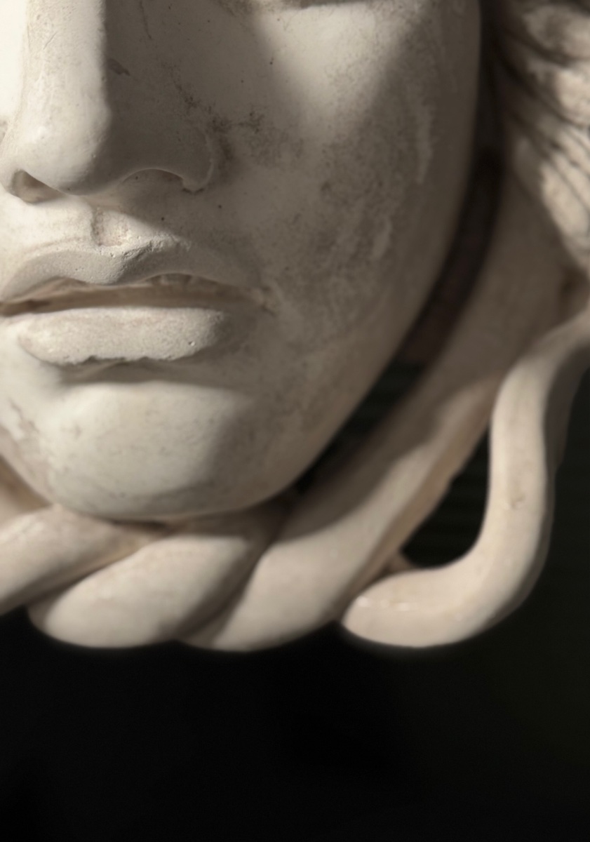 Plaster Medusa Wall Decoration, 20th Century-photo-2