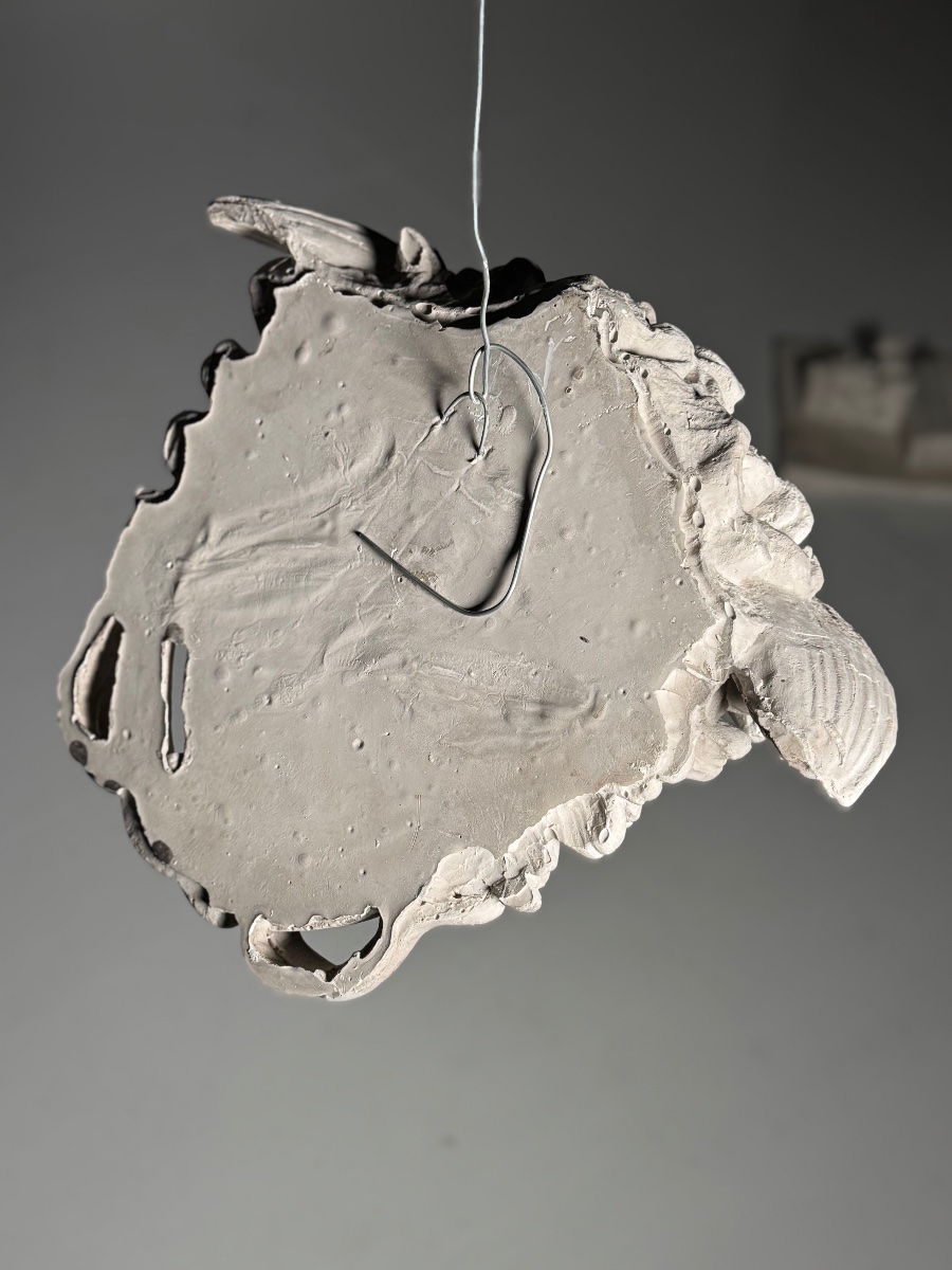 Plaster Medusa Wall Decoration, 20th Century-photo-1
