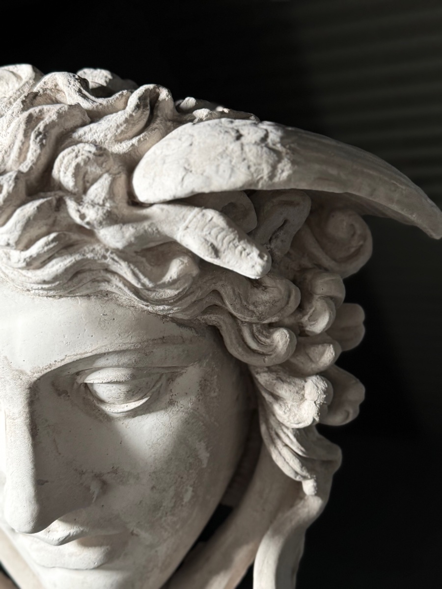 Plaster Medusa Wall Decoration, 20th Century-photo-3