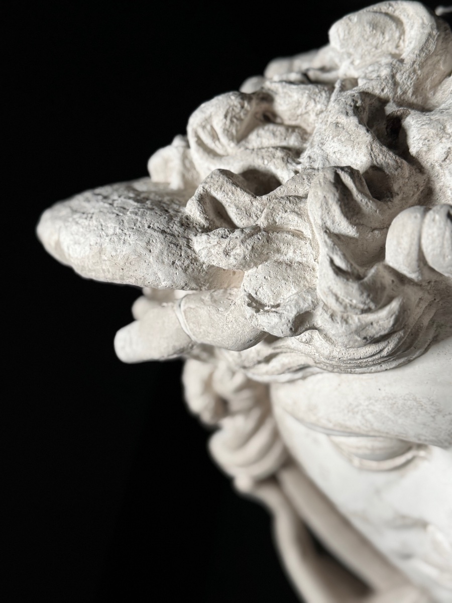 Plaster Medusa Wall Decoration, 20th Century-photo-6