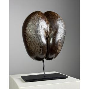 Coco De Mer On Stand