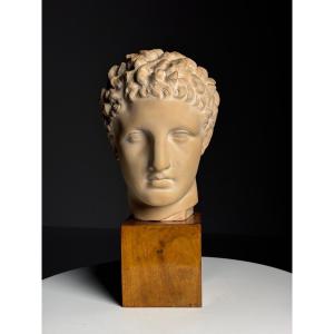 Main Image In Greek Plaster 