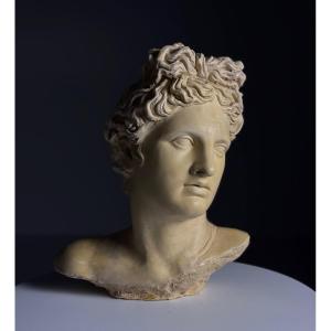 Classical Apollo Head Sculpture
