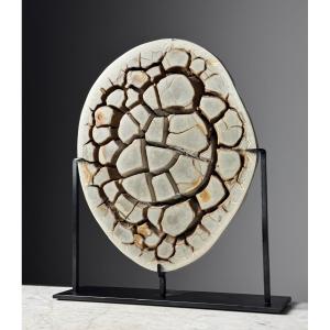 Nodule Septarien Sur Pied