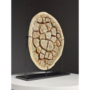 Septarian Nodule On A Custom-made Base
