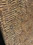 1823875-alb-6aad26008e24b.jpg