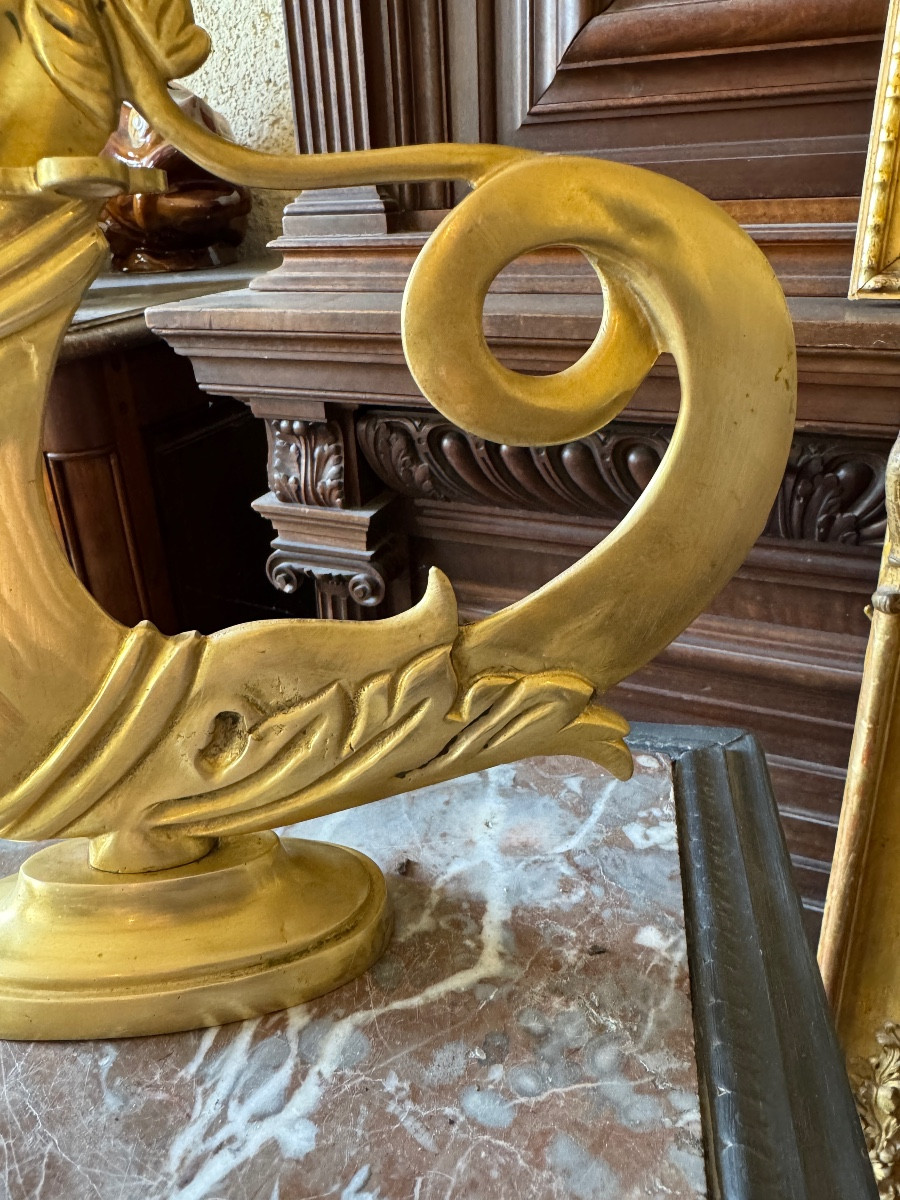 Cavai de gondole-photo-4