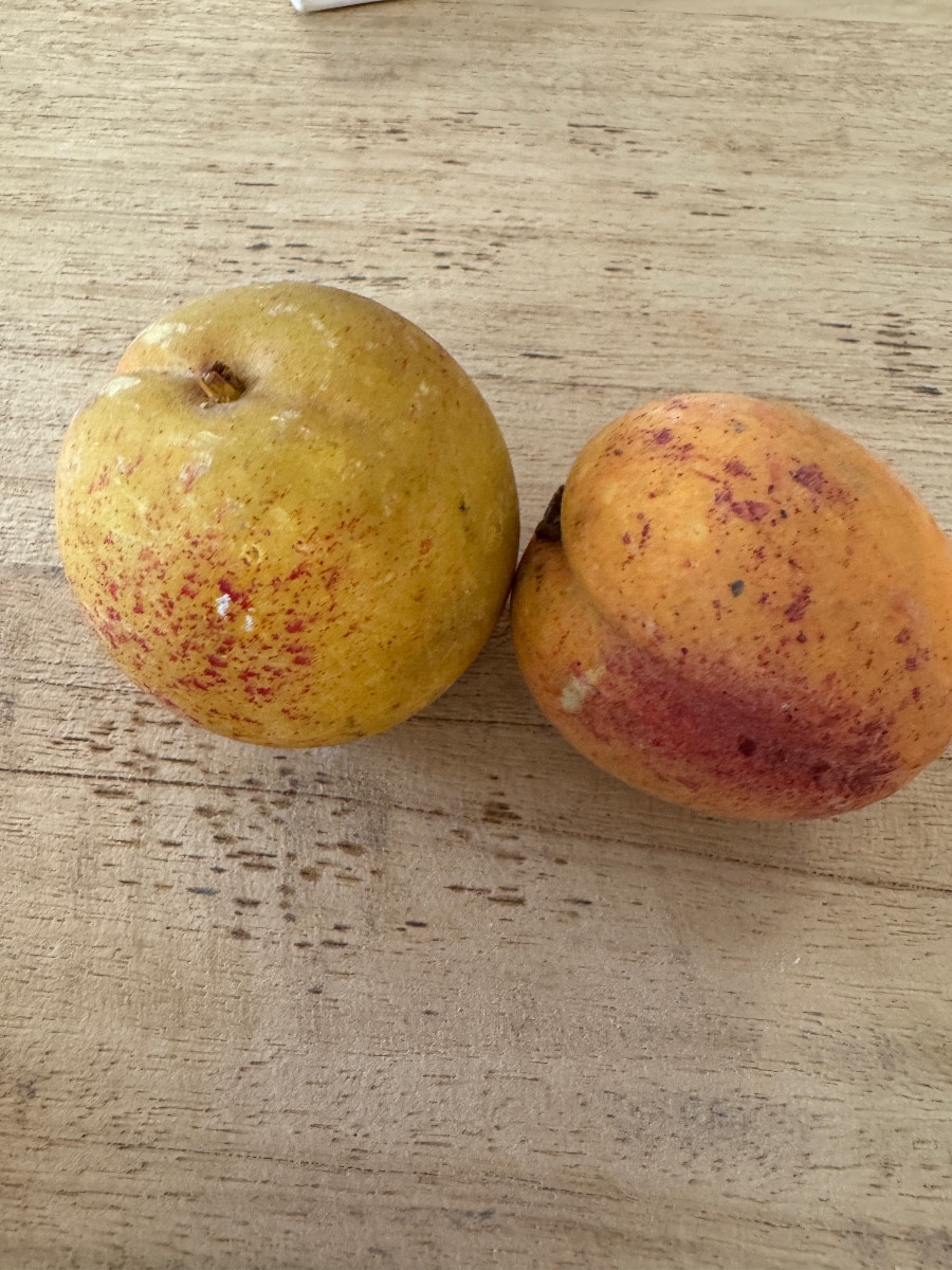 Lot de fruits en marbre -photo-6