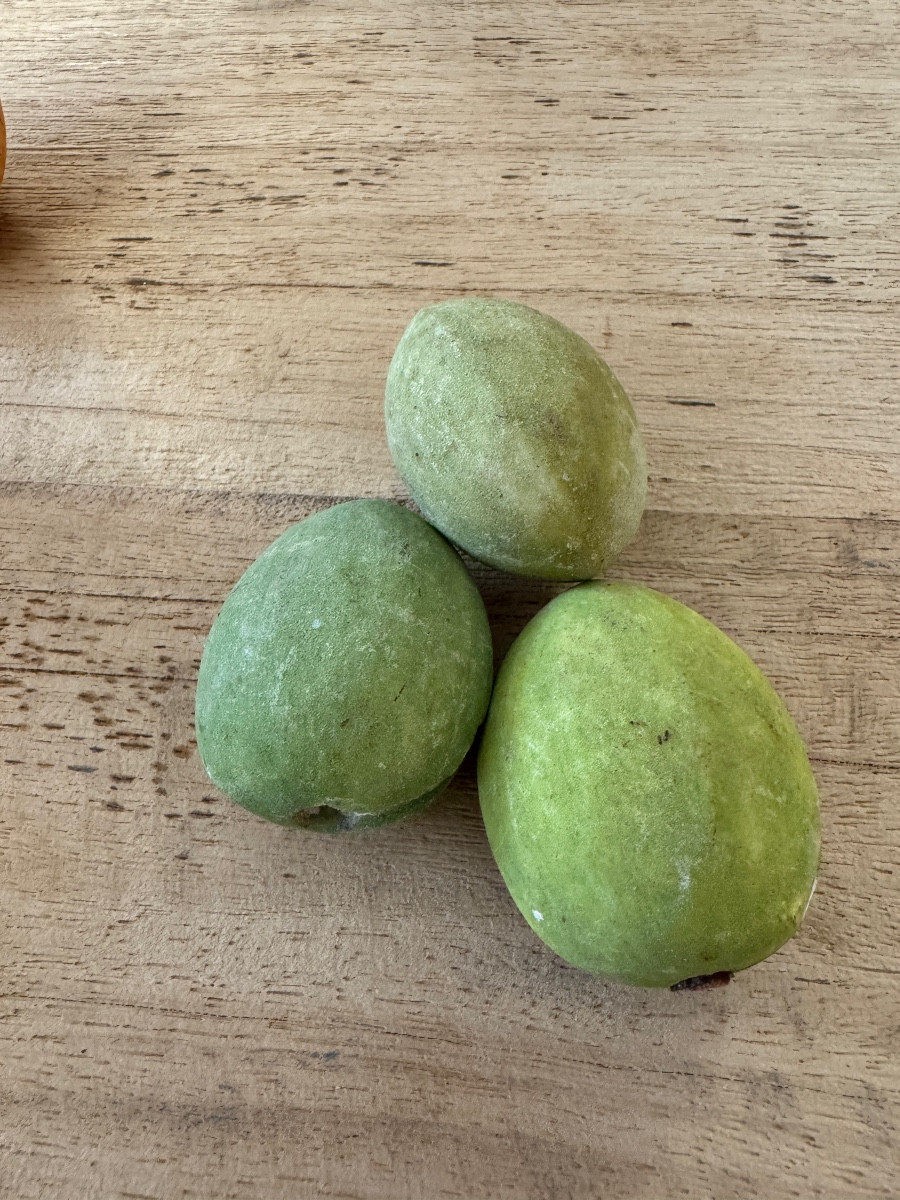 Lot de fruits en marbre -photo-7