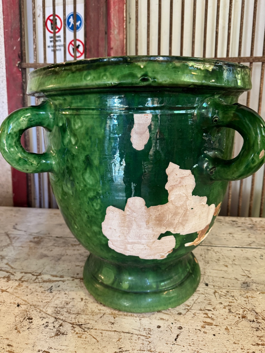 Citrus Pot Castelnaudary-photo-2