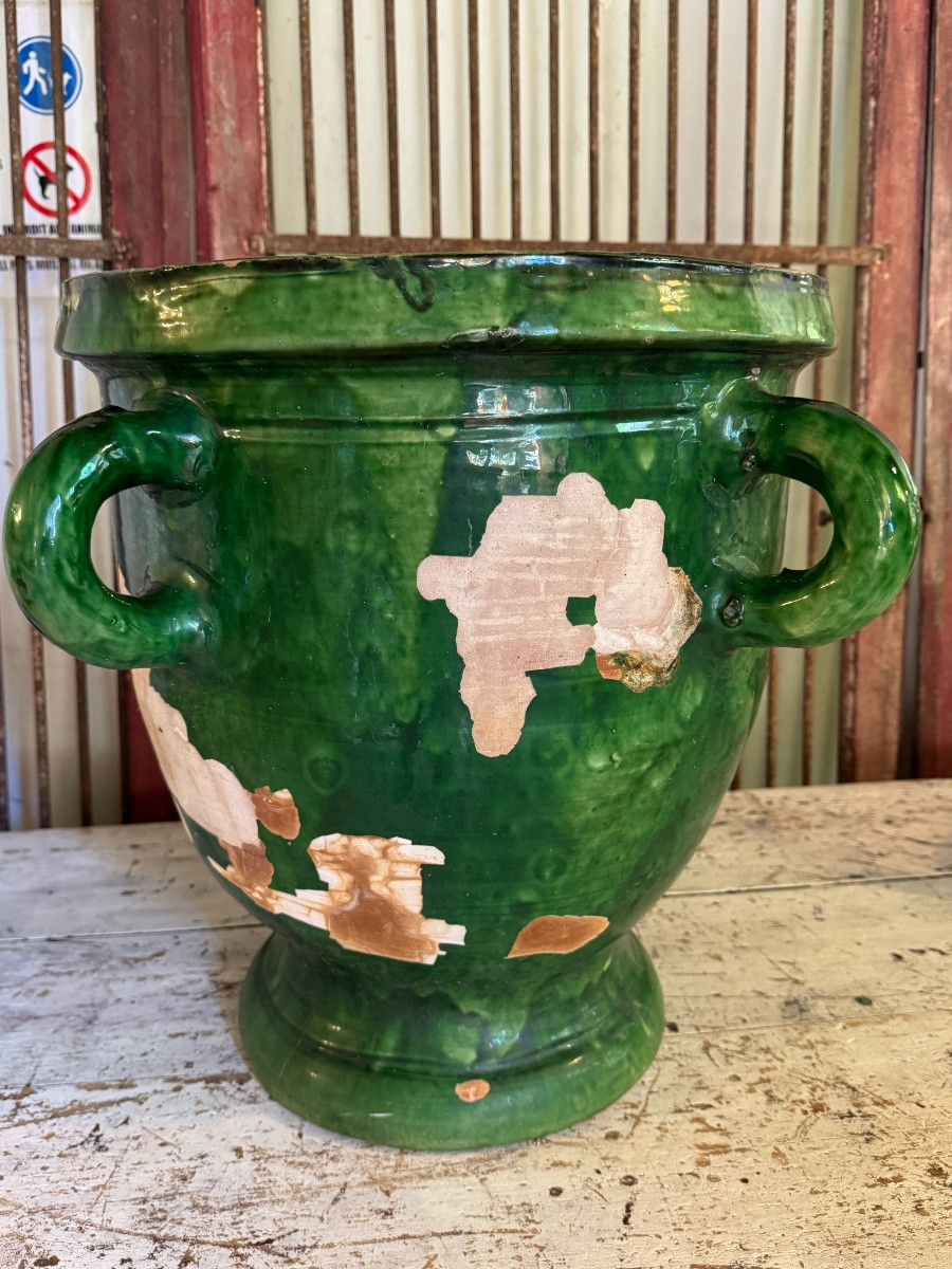 Citrus Pot Castelnaudary-photo-3