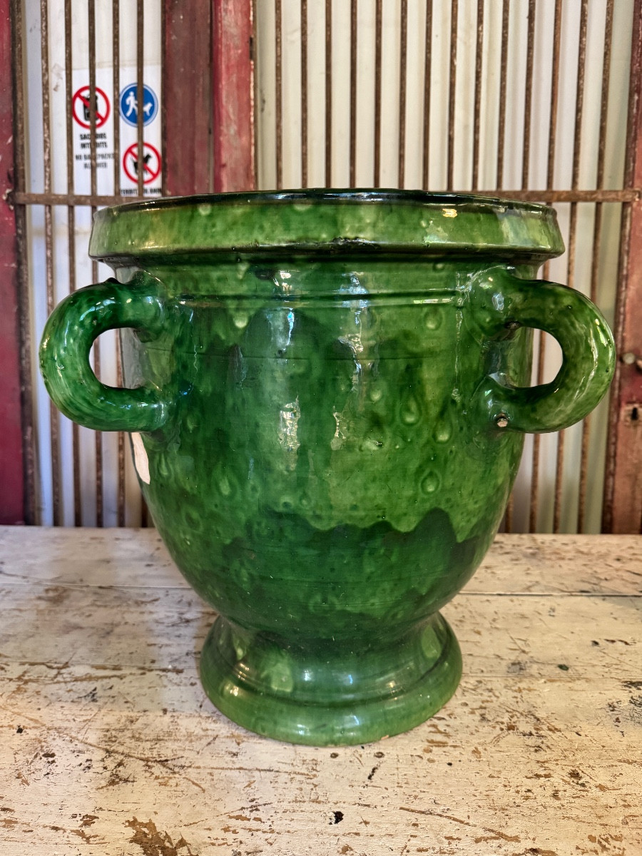 Citrus Pot Castelnaudary