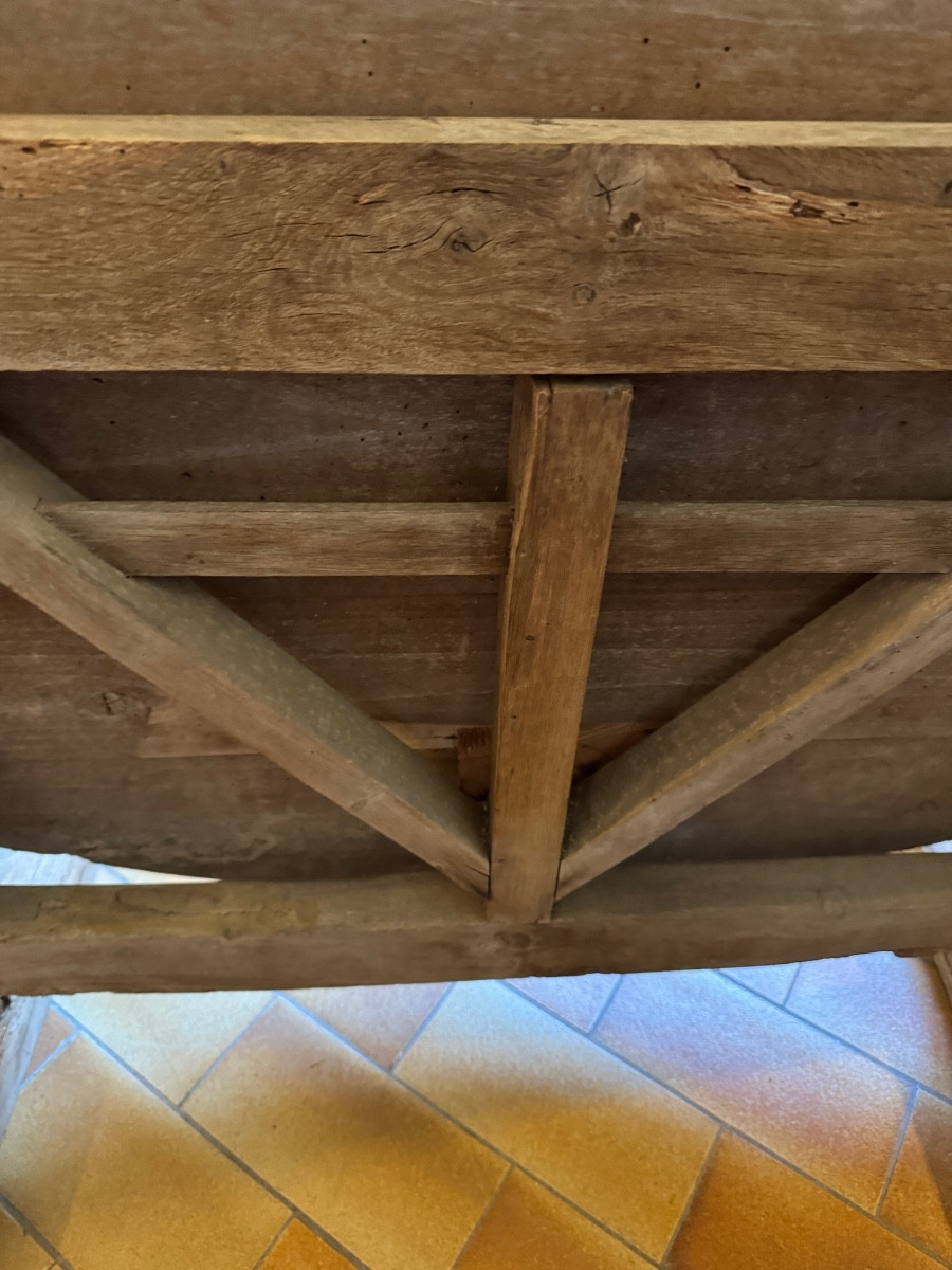 Harvesting Table-photo-3