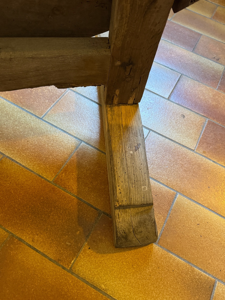 Harvesting Table-photo-4