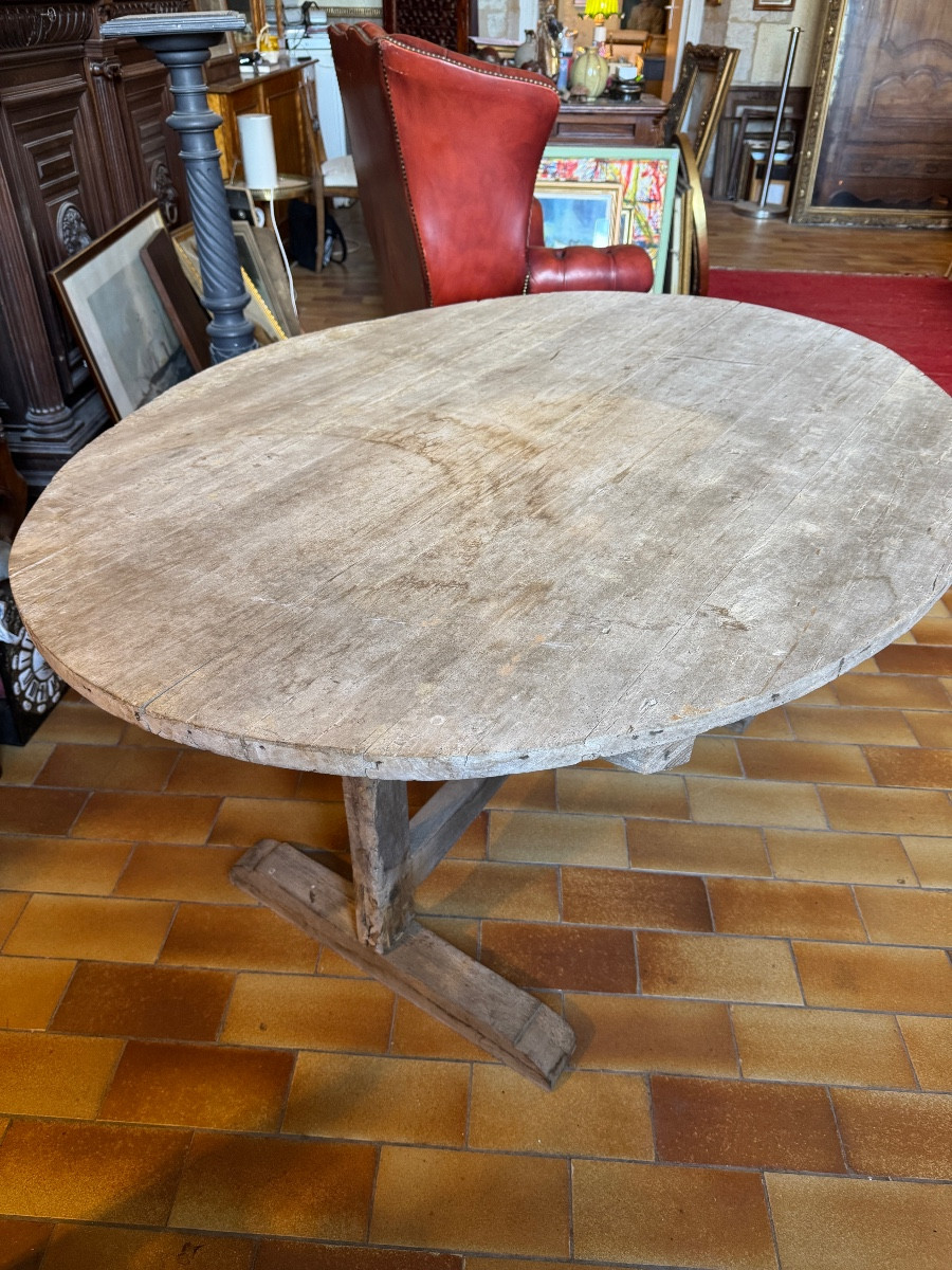 Harvesting Table