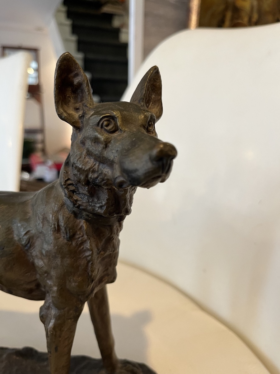 Bronze German Shepherd Dog Bailly 19th Century-photo-2