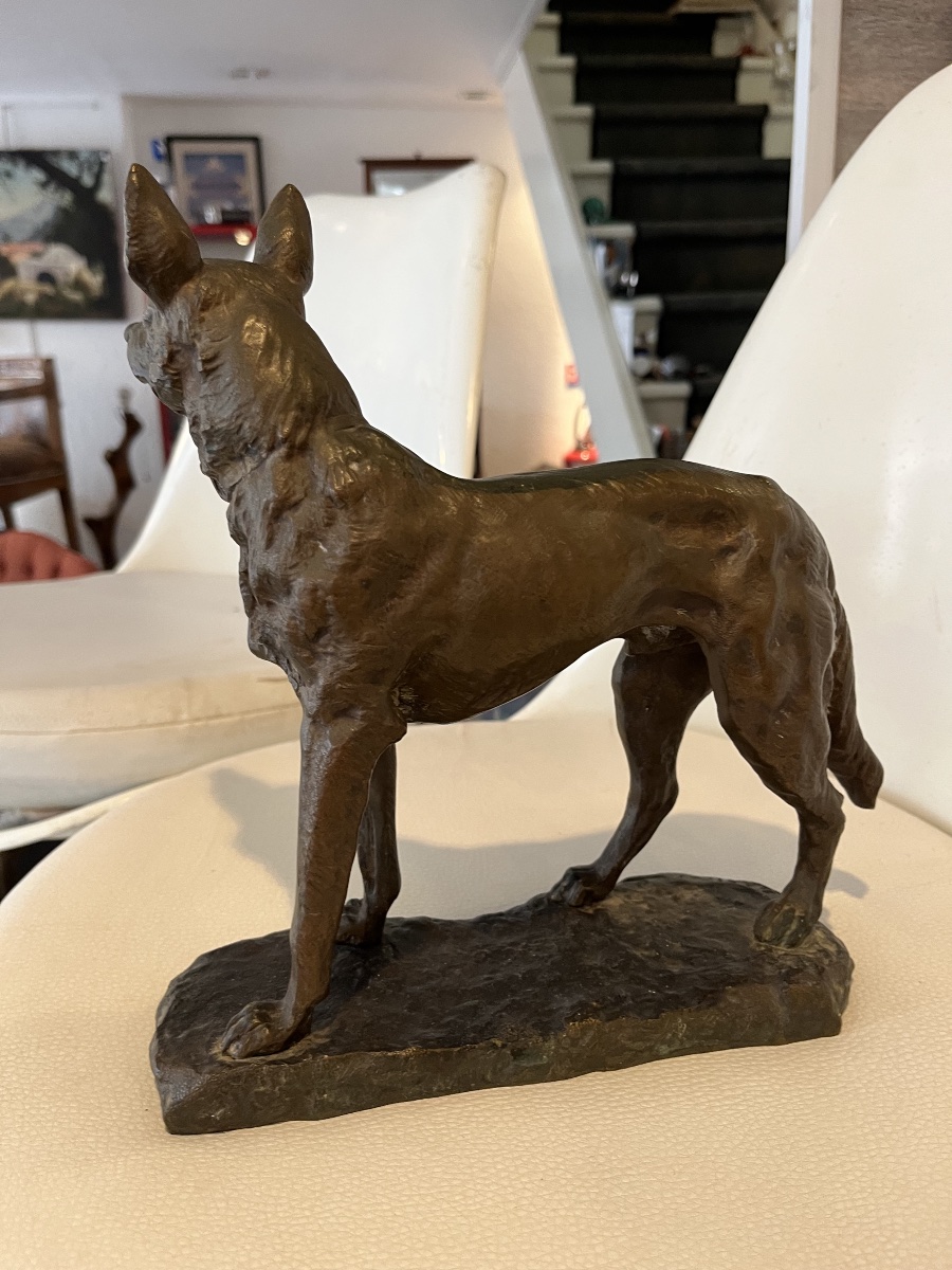 Bronze German Shepherd Dog Bailly 19th Century-photo-4
