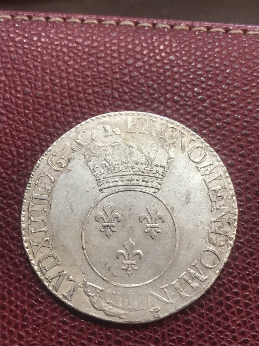 Farthingale Shield -photo-2