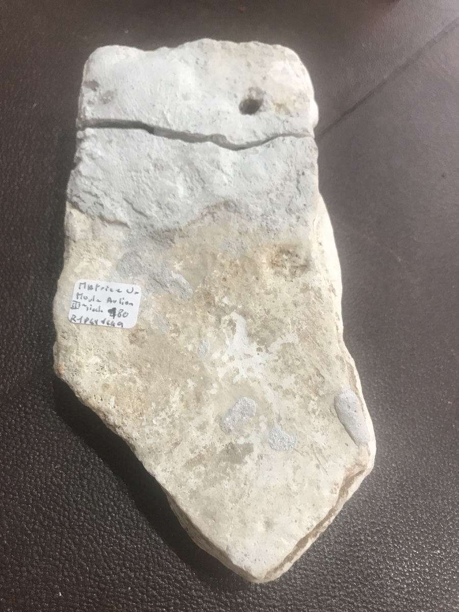 Stamping Die Indicator-photo-3