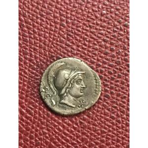 Denier République Romaine 
