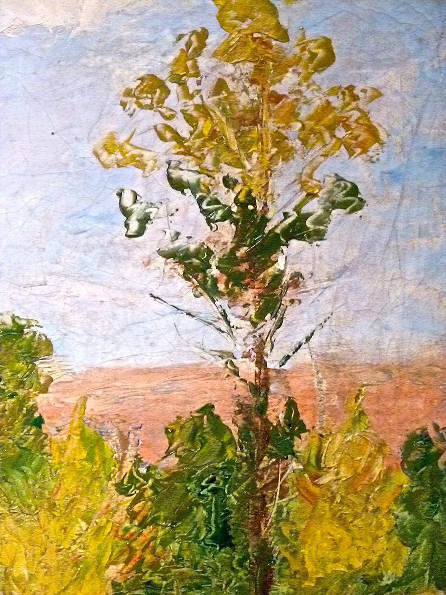 "mountain Rose" By Edmond Tapissier (1861-1943)-photo-3