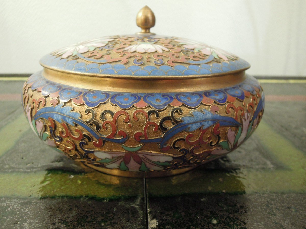 Bonbonnière ou pot à couvercle en émail cloisonné, Chine Fin XIXe-photo-5