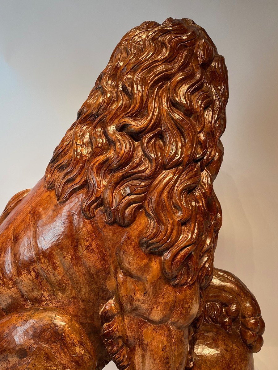 A Large Medici Lion Carved In Linden Wood, Life Size-photo-6