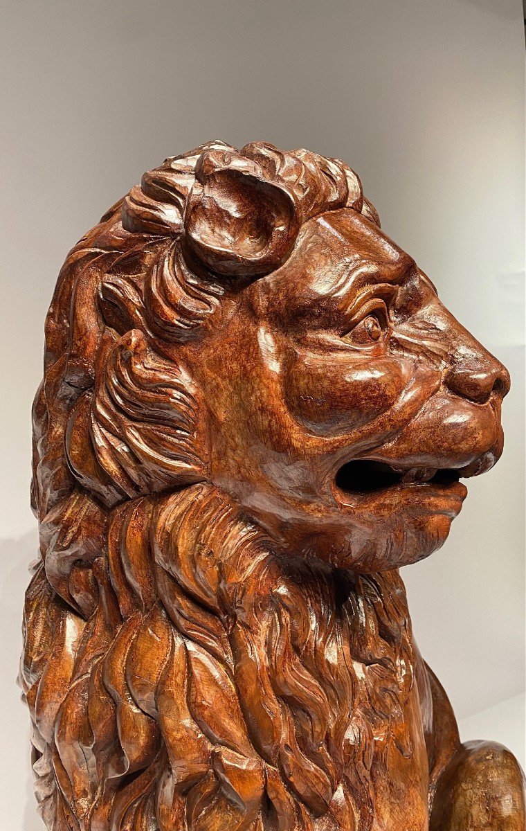 A Large Medici Lion Carved In Linden Wood, Life Size-photo-8