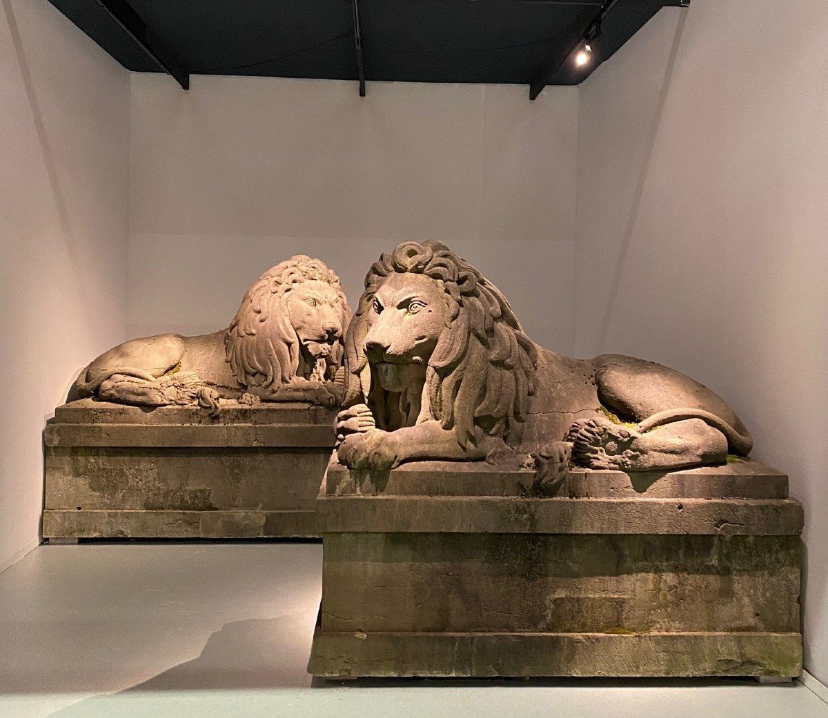 Paire De Lions Monumentaux Du 19ème Siècle (pierre Bleue), Belgique Vers 1840. grandeur nature-photo-2