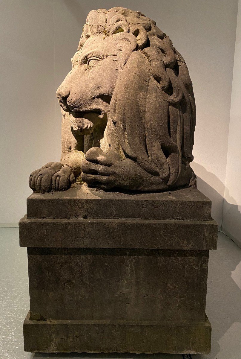 Paire De Lions Monumentaux Du 19ème Siècle (pierre Bleue), Belgique Vers 1840. grandeur nature-photo-3