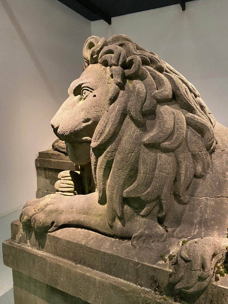 Paire De Lions Monumentaux Du 19ème Siècle (pierre Bleue), Belgique Vers 1840. grandeur nature-photo-6