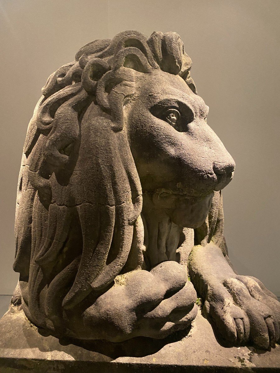 Paire De Lions Monumentaux Du 19ème Siècle (pierre Bleue), Belgique Vers 1840. grandeur nature-photo-7