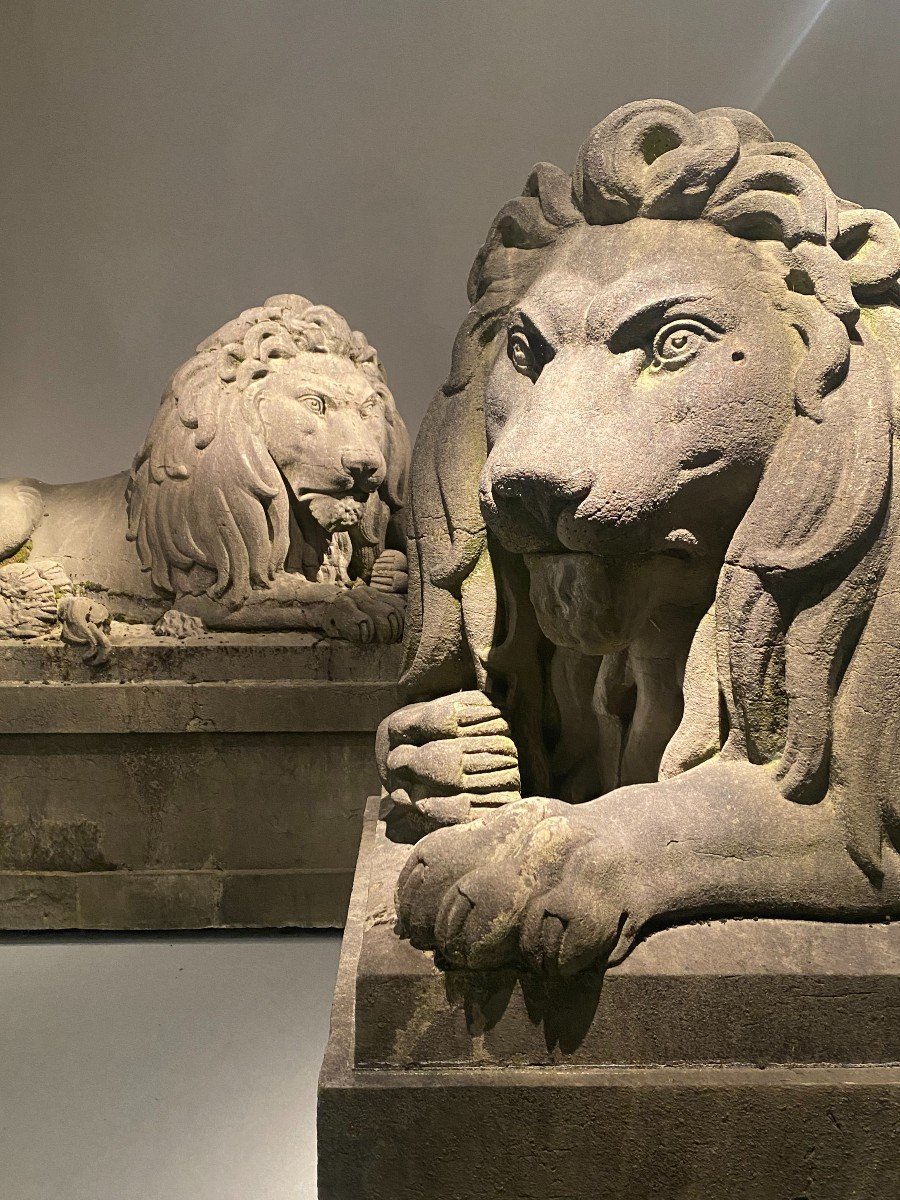 Paire De Lions Monumentaux Du 19ème Siècle (pierre Bleue), Belgique Vers 1840. grandeur nature-photo-8