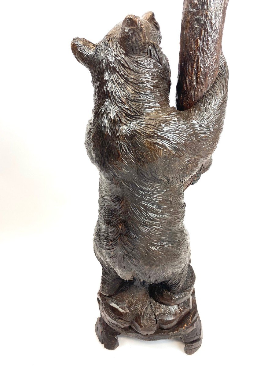 Forêt Noire, Ours Porte-manteau, Fin XIXème -photo-4