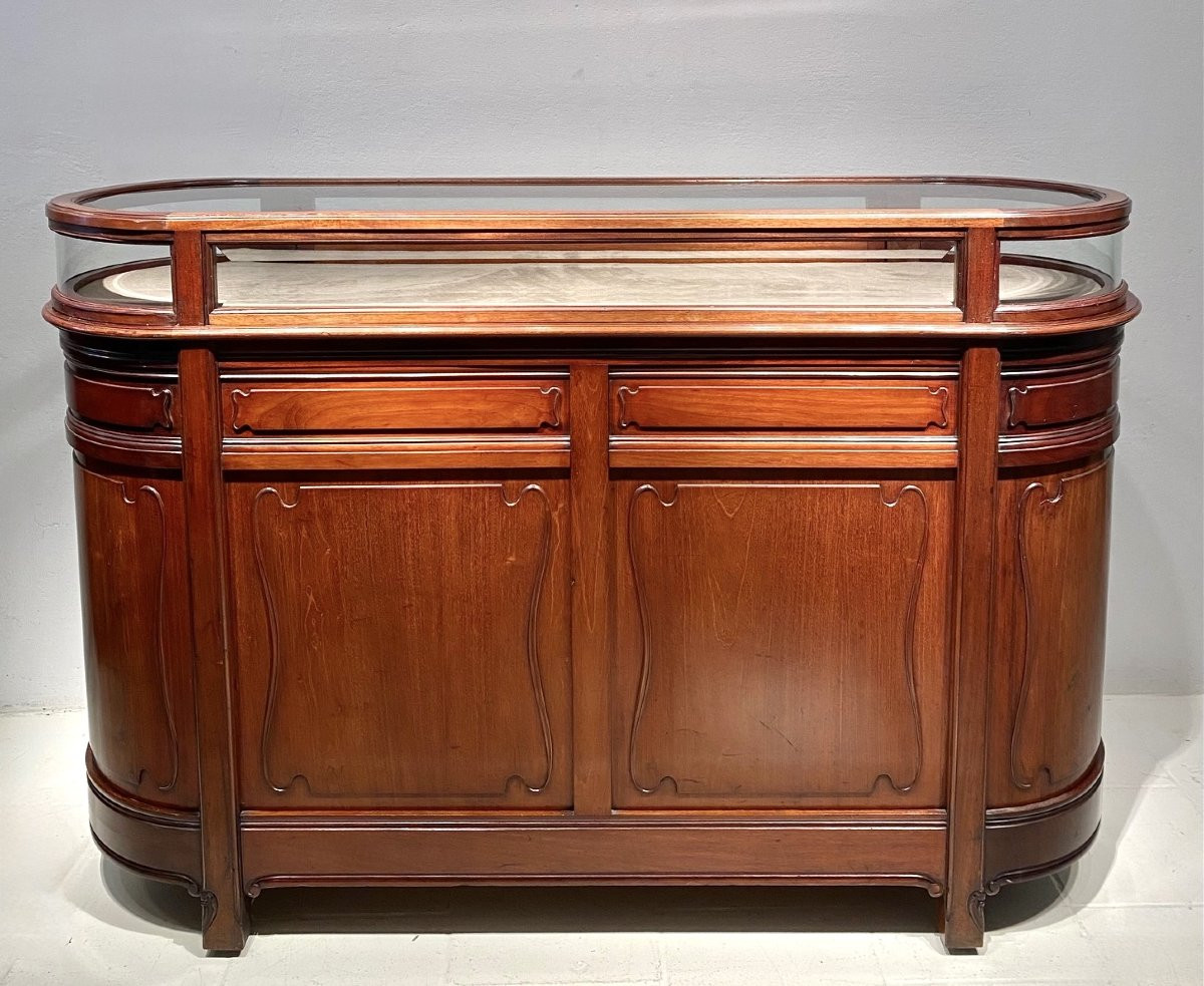 Pair Of Art Nouveau Mahogany Display Counters, France, Circa 1900-photo-1