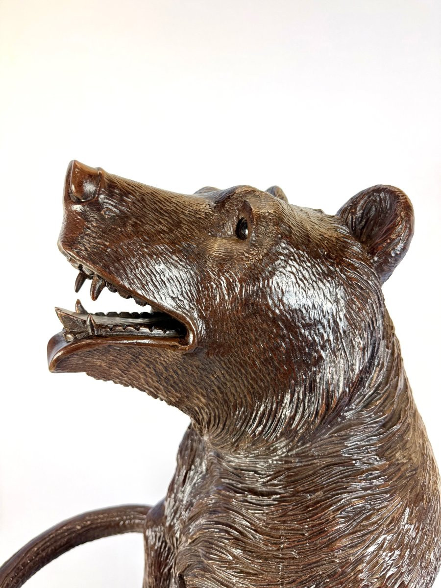 Ours debout, porte-parapluies Forêt-Noire,-photo-5