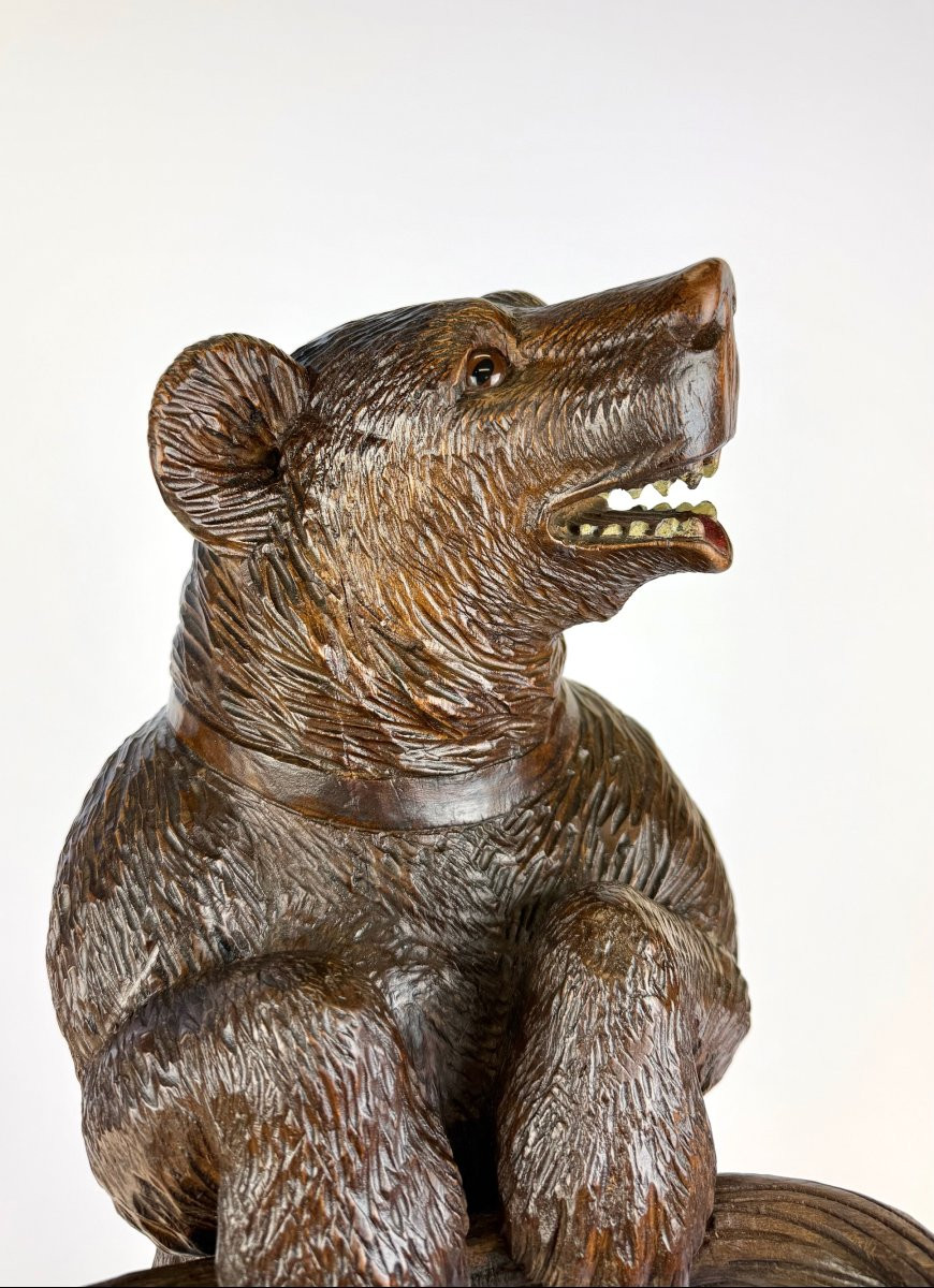 Umbrella Stand, Bear, Black Forest-photo-3