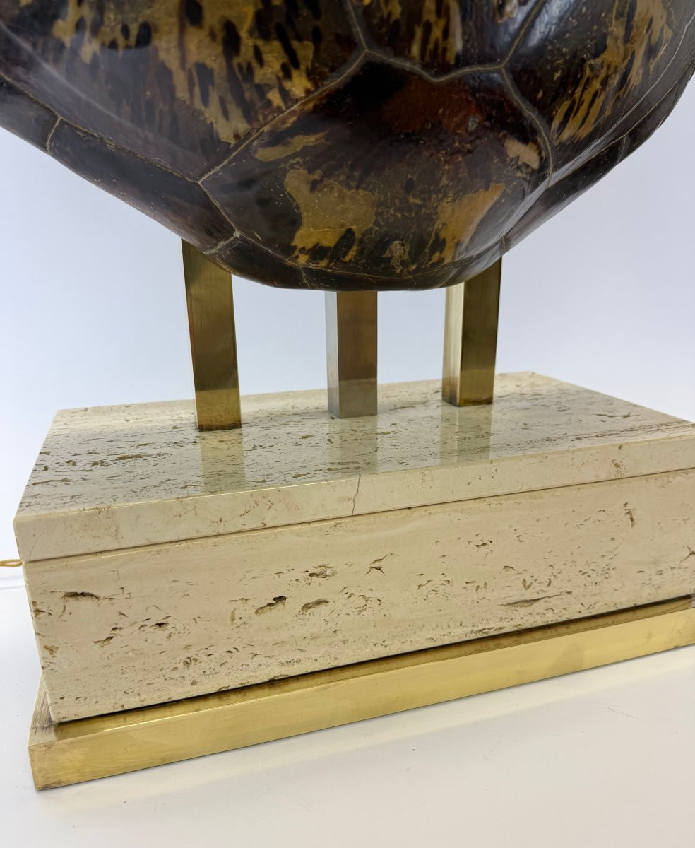 Vintage Table Lamp In Turtle Shell-photo-3