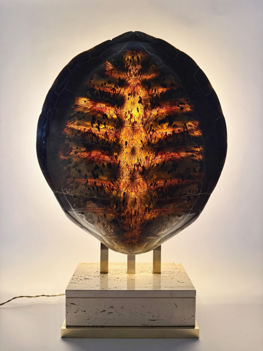 Vintage Table Lamp In Turtle Shell-photo-4