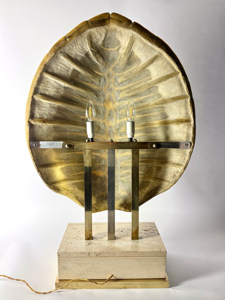 Vintage Table Lamp In Turtle Shell-photo-2