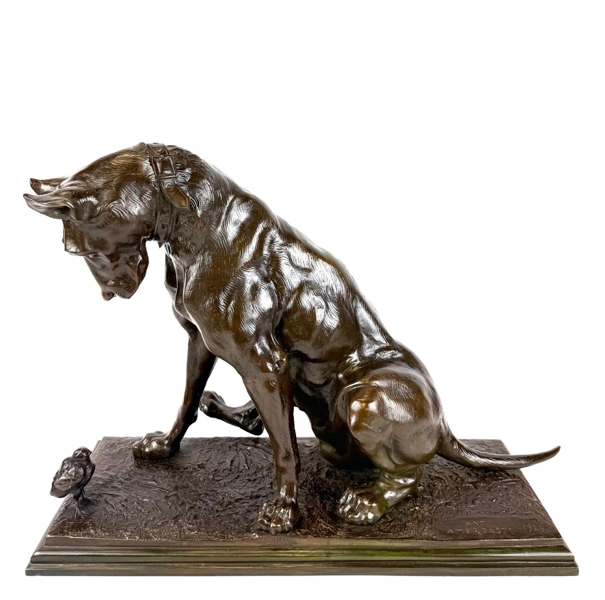 Bronze Sculpture Depicting A Dog, By Antonio Amorgasti (pisa, 1880 – Antwerp, 1942).-photo-3