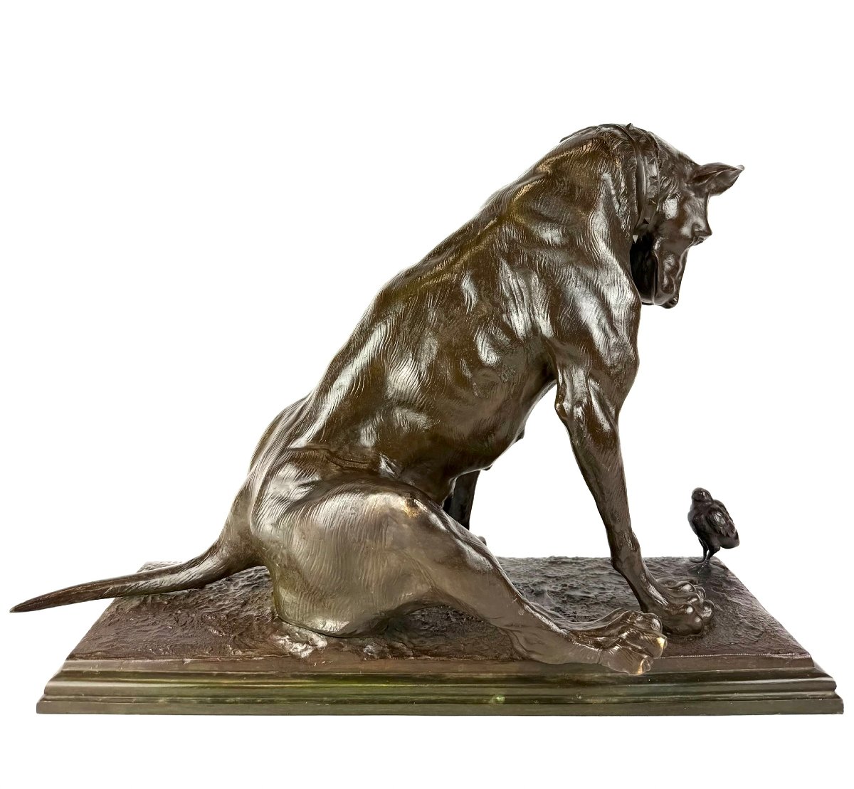 Bronze Sculpture Depicting A Dog, By Antonio Amorgasti (pisa, 1880 – Antwerp, 1942).-photo-5