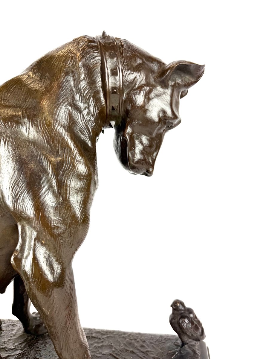 Bronze Sculpture Depicting A Dog, By Antonio Amorgasti (pisa, 1880 – Antwerp, 1942).-photo-6
