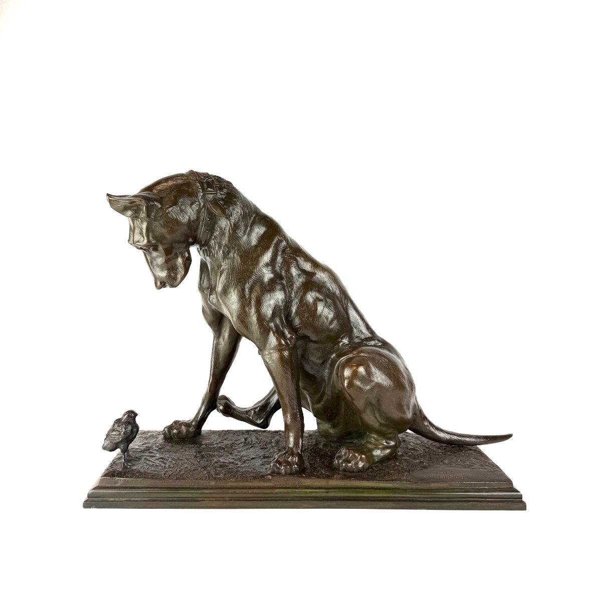 Bronze Sculpture Depicting A Dog, By Antonio Amorgasti (pisa, 1880 – Antwerp, 1942).