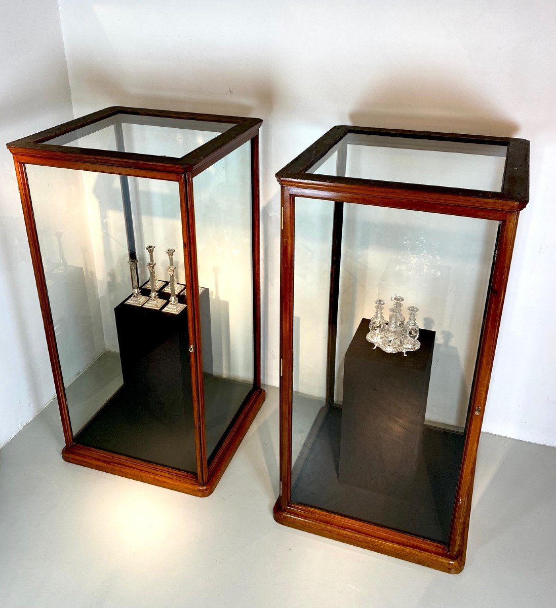 A Large 19th Century Museum Display Case By Holland & Sons, London C. 1890 . 1 More Available-photo-3