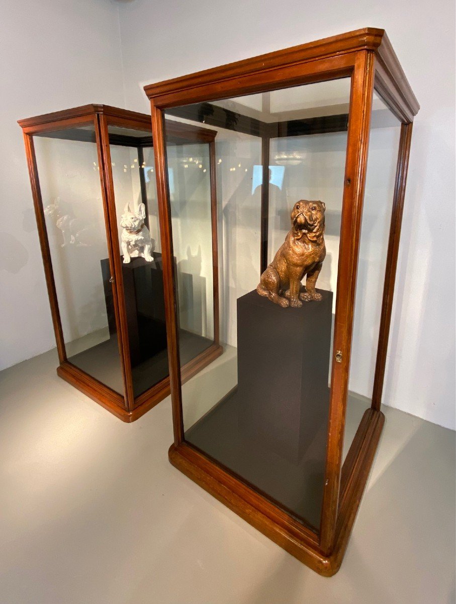 A Large 19th Century Museum Display Case By Holland & Sons, London C. 1890 . 1 More Available-photo-3